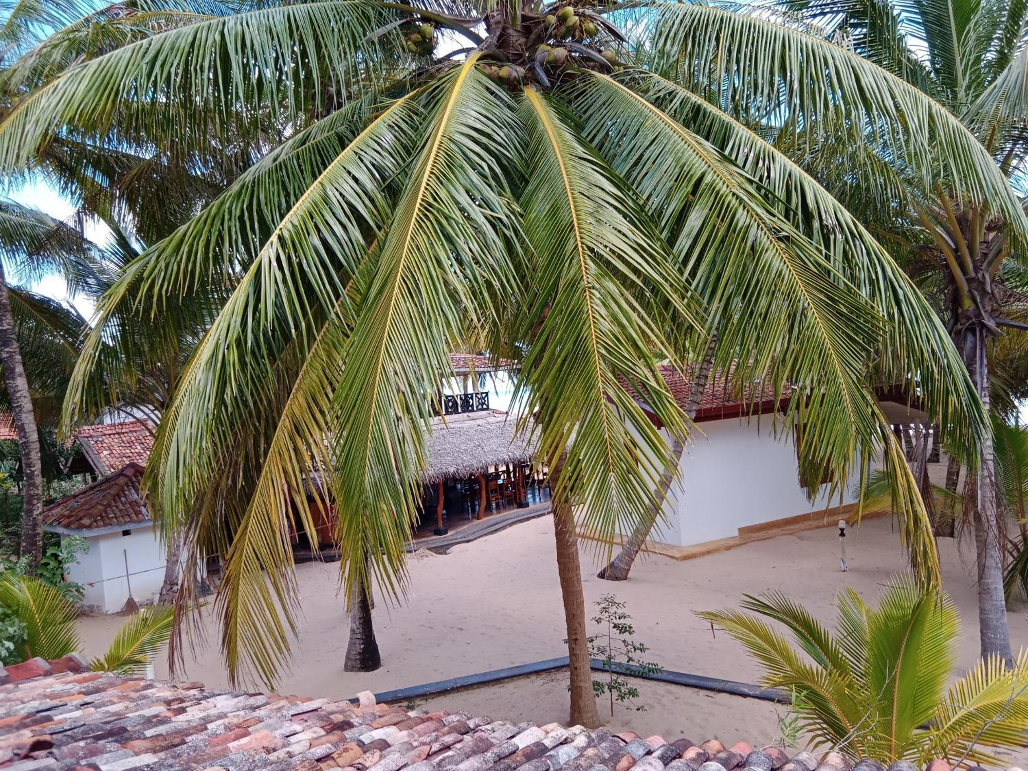 Ibisbird Beach Bungalows, Sport, Spa And Restaurant Тангалле Екстер'єр фото